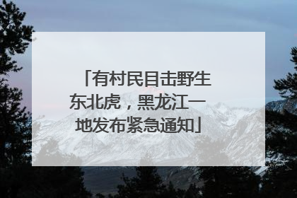 有村民目击野生东北虎，黑龙江一地发布紧急通知